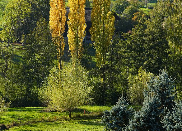 Goldener Herbst in Grossdietwil