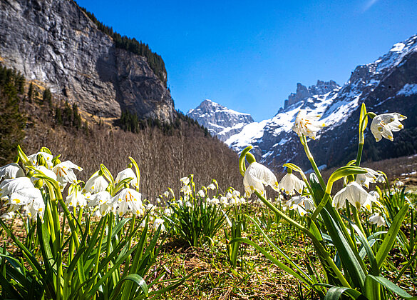 Frühling beginnt in Engelberg!