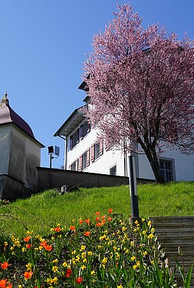 Welch herrliche Farbenpracht auf dem Weg zum Pfarrhof