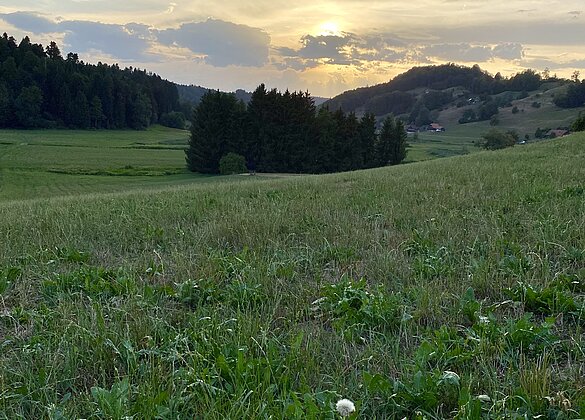 Herrliche Sonntagabendstimmung im Ostergau.Lotti Mahnig
