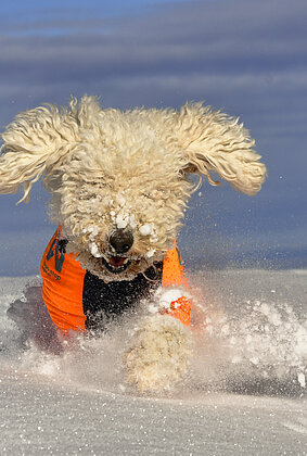 So schön kann Pulverschnee sein