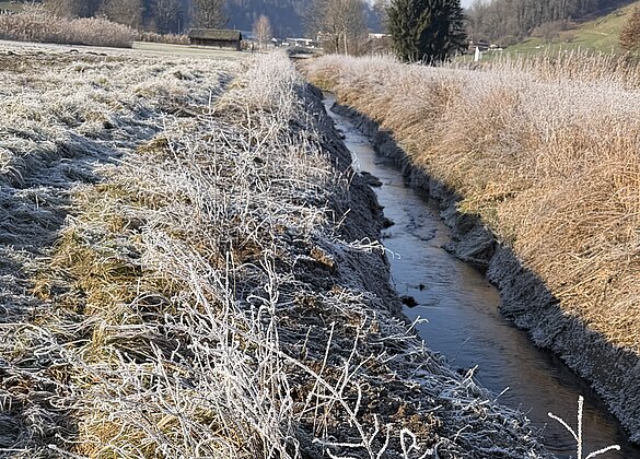 Traumhafter Morgenspaziergang 