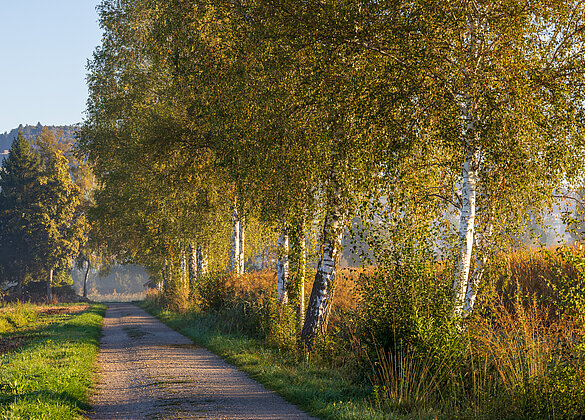 Herbstbeginn in sanften Farben
