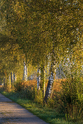 Herbstbeginn in sanften Farben