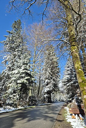 Der Winter kam zurück
