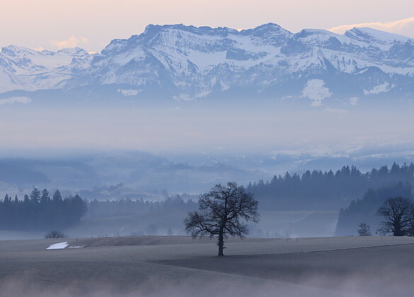 Nebel der sich umhertreibt