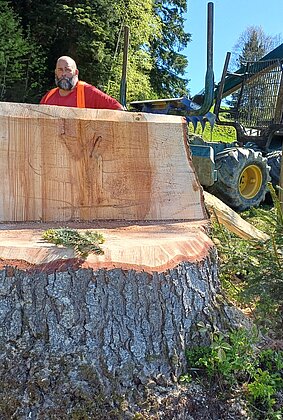 Heute mal ein XXL-Bänkli von der Natur…