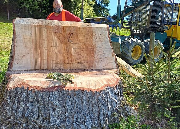 Heute mal ein XXL-Bänkli von der Natur…