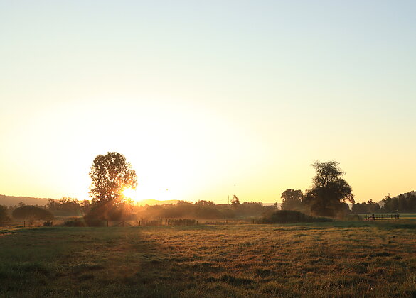 Bei Sonnenaufgang ist es angenehm kühl