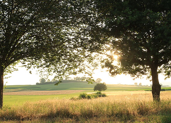 Die Sonne geht langsam  unter