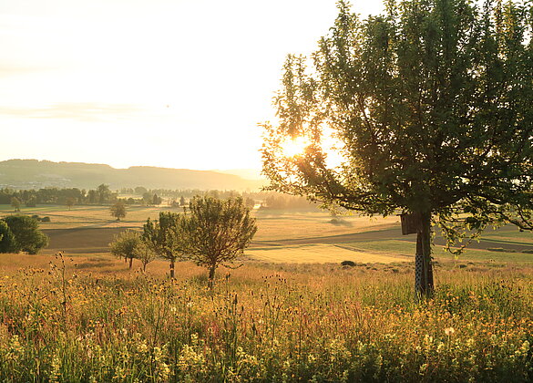 Der Tag an Muttertag beginnt sonnig