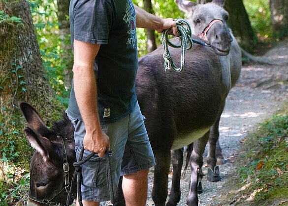 Ueberraschende Begegnung auf dem Sonntagsspaziergang