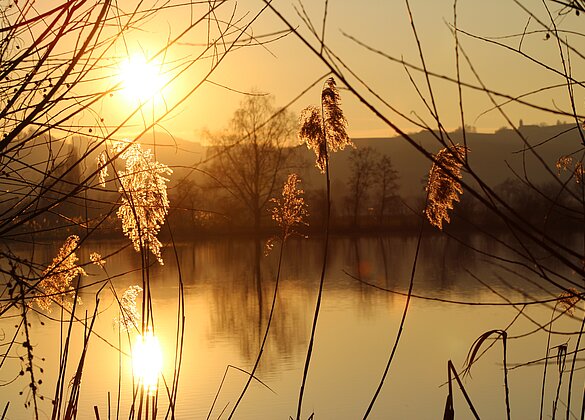 Abendstimmung am Egolzwilersee