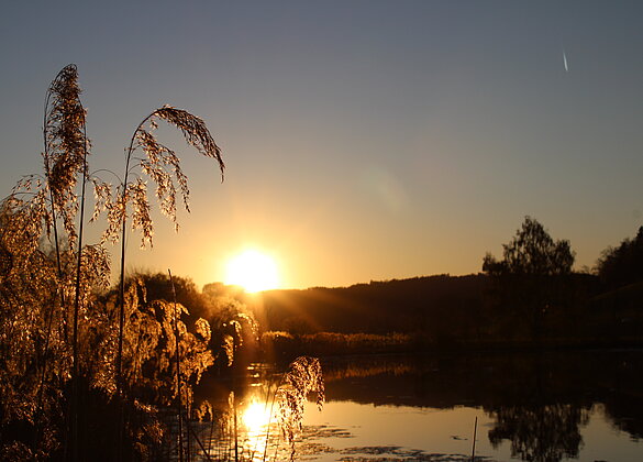 Sonnenuntergang am Egolzwilersee