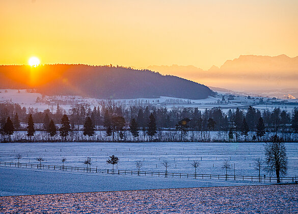 Stimmungsvoller Sonnenaufgang über dem Wauwilermoos!