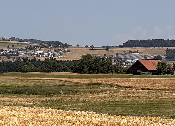 Wo sonst im Juni mehrheitlich Grün leuchtet!
