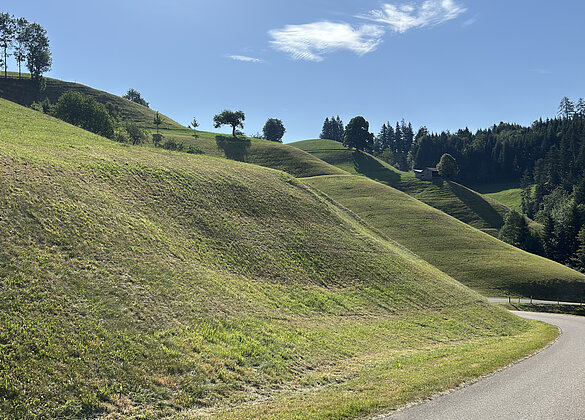 Wellenlandschaft an der Gishubelstrasse.