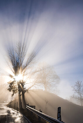 Die Sonnenstrahlen durchdringen den Nebel!