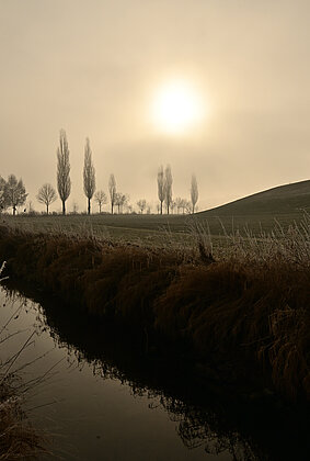 Ein Traumhafter Morgen mit einer Brise Nebelschaden