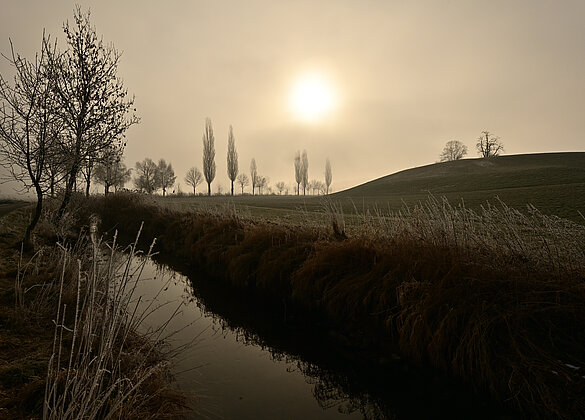 Ein Traumhafter Morgen mit einer Brise Nebelschaden