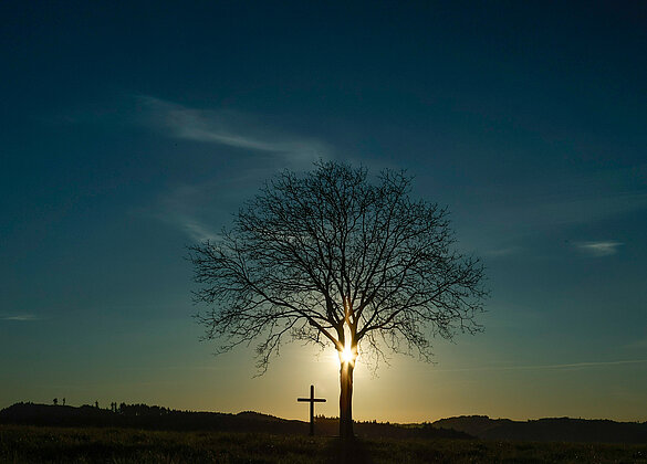Abendstimmung über Ober-Gunterswil