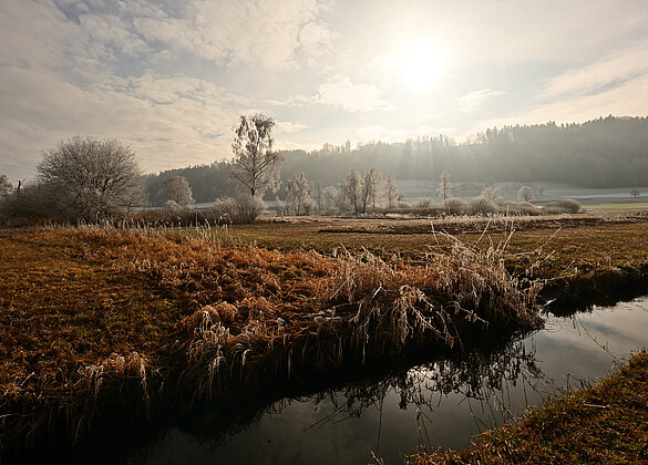 Wunderschön überzuckerte Winterlandschaft