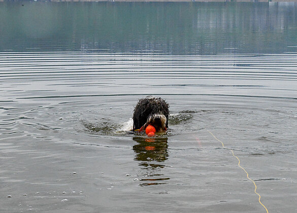 Jady vom Seilihus bei ersten Bad 2026 im Sempachersee