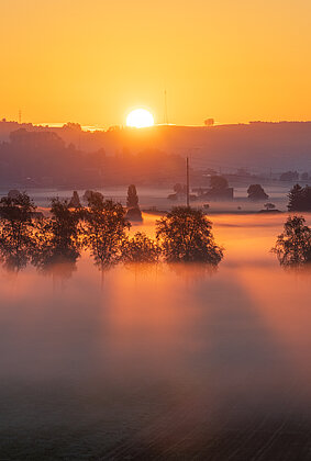 Das Zusammenspiel von Nebel und dem ersten Sonnenlicht ...