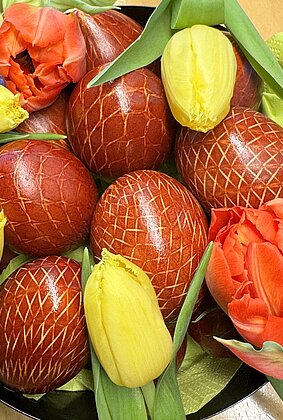 Der Osterhase kann kommen…