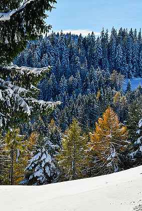 Nicht im Engadin sondern bi üs im Luzerner Hinterland