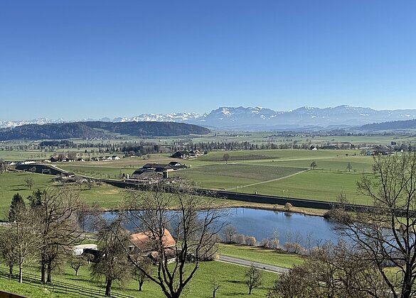 Egolzwilersee mit Pilatus ,Wauwilermoos 