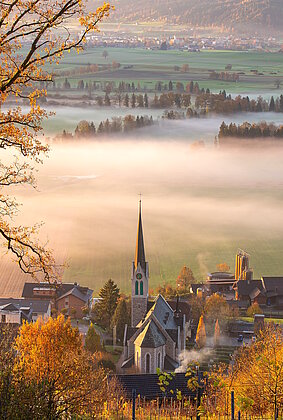 Goldene Blätter und sanftes Licht .....