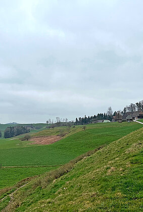 118130_118132.jpeg