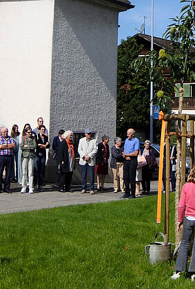 120537_120546.jpeg