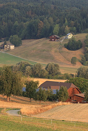 Die Landschaft wirkt idyllisch....