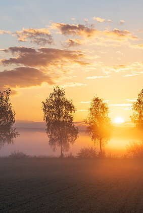 Ein Goldener Septembermorgen 