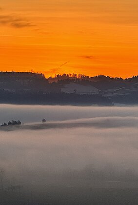 Goldener Sonnenuntergang über dem Nebelmeer