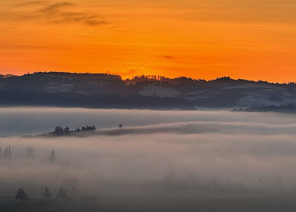Goldener Sonnenuntergang über dem Nebelmeer