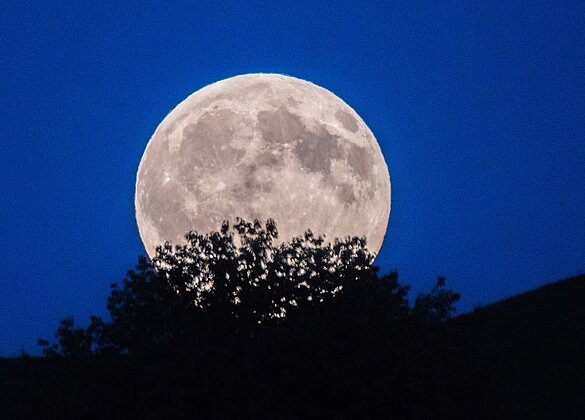 Der Vollmond nahe der Tagundnachtgleiche heisst «Erntemond».
