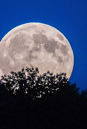 Der Vollmond nahe der Tagundnachtgleiche heisst «Erntemond».