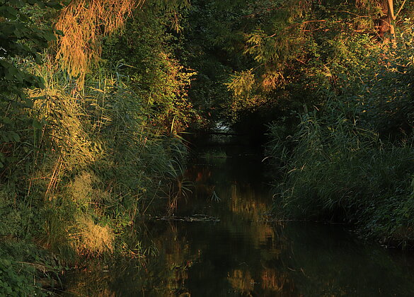 Monet hätte es gemalt(vielleicht) ich habe es fotografiert