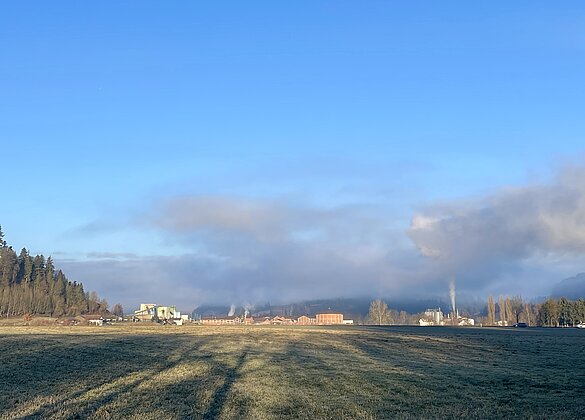 Mystische Morgenstimmung um Alberswil