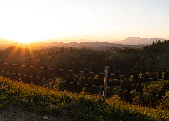 Sonnenaufgang auf dem Ahorn.