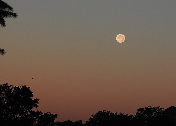 Der Vollmond verabschiedet sich.