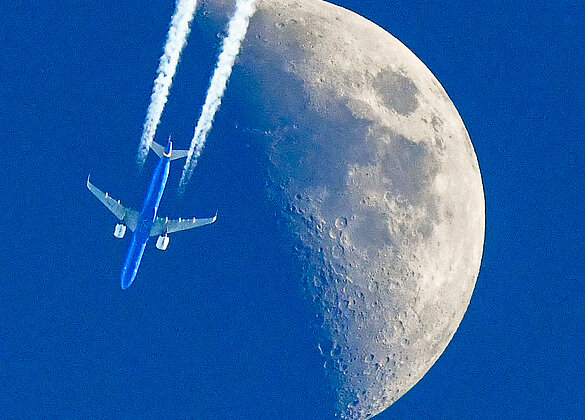 Ledi's Traum erfüllt sich :))