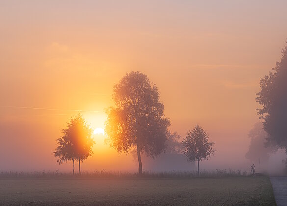 Am Sonntagmorgen im Egolzwiler Moos