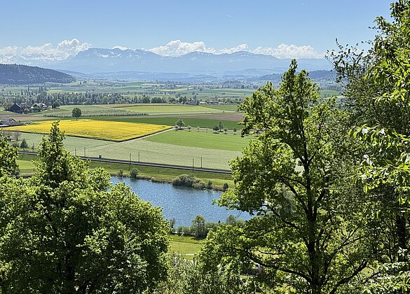 Egolzwilersee mit Pilatus im Hintergrunnd