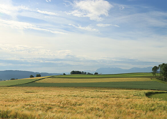 Unterwegs in Schötz