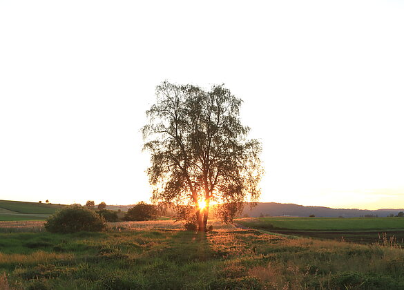 Die letzten Sonnenstrahlen 