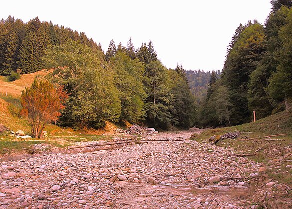 Staubtrocken und weiteres Warten auf den erhofften Regen. 